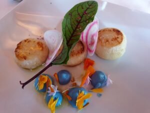 Konzert und Galadinner